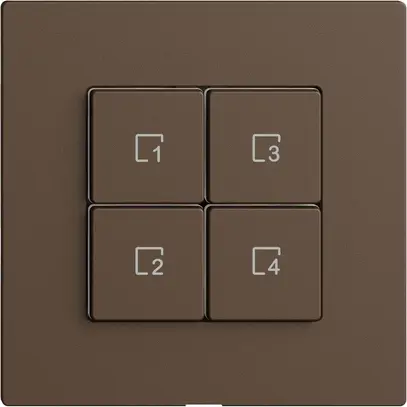 Pulsante scena 4 scene/4T WLAN Edue Wiser coffee 