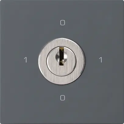 Intérieur interrupteur à clé kallysto 0/2L anthracite avec serrure Kaba 8 