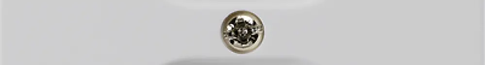 Prise ENC kallysto 2×T13/1 gris clair 