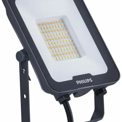 LED-Strahler Philips Ledinaire 30W 3600lm 830/840/865 IP65 110° 182×133 