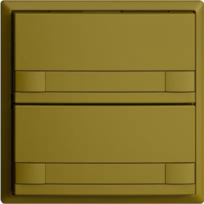 UP-Taster KNX 2-fach EDIZIOdue colore olive RGB ohne LED mit Papiereinlage 