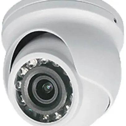 Telecamera dome Legrand PTZ 12VDC 109° IP66 bianco 