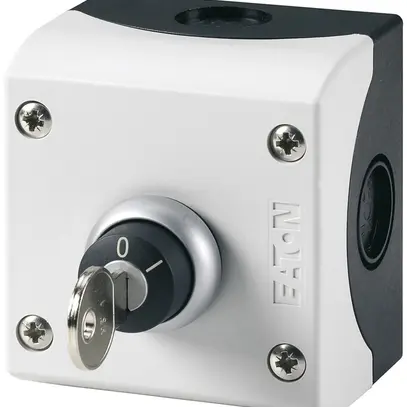 Interruttore a chiave AP ETN 10A 1Ch/1A grigio 