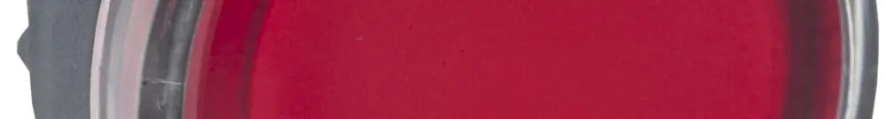 Parte frontale per pulsante lum. Schneider Electric rosso 