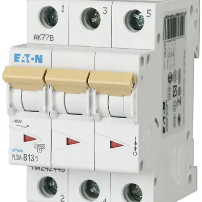 Disgiuntore PLSM-C13 3L 