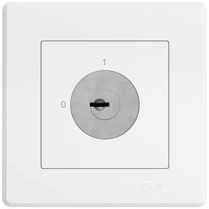 UP-Schlüsselschalter EDIZIO.liv m.KABA 1007FB/5000 1P 0-1 T=57mm ws 