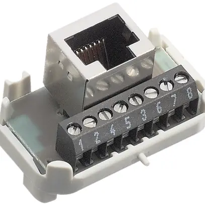 Interno RNIS R&M 1×RJ45/s 8P morsetti a vite, swissline 