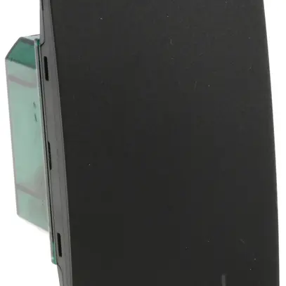 Termostato Living Now MyHOME con display 2 moduli nero 