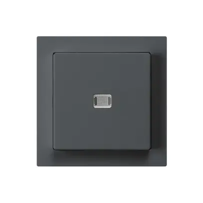 Interrupteur poussoir lumineux ENC kallysto 3/2P anthracite 