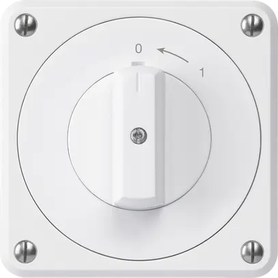 Contact pivotant ENC robusto IP55 blanc 2P pour combinaison 