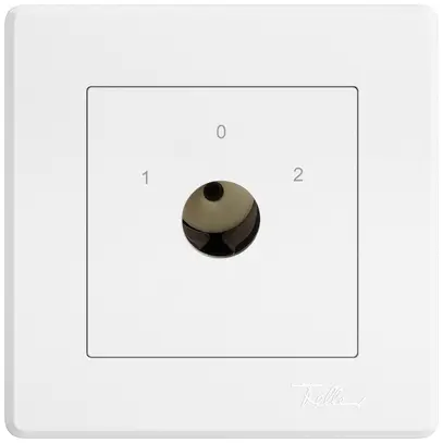 Interrupteur à clé ENC EDIZIO.liv pour KABA 1514 a.cont.sép.1P 1-0-2 p=67mm bc 