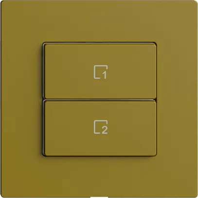Pulsante scena 2 scene verticale/2T WLAN Edue Wiser olive 