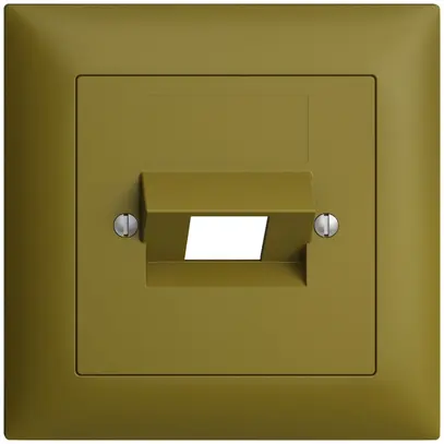 Kit frontale EDIZIOdue olive 88×88mm 1×RJ45 