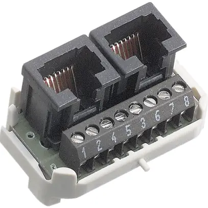 Interno RNIS R&M 2×RJ45/u 8P parallelo morsetti a vite, swissline 