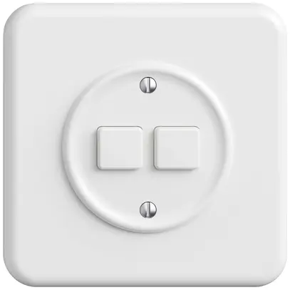 Station sec.interrupteur ENC STANDARDdue Wiser SNAPFIX® 2 canaux 2 touches bc 