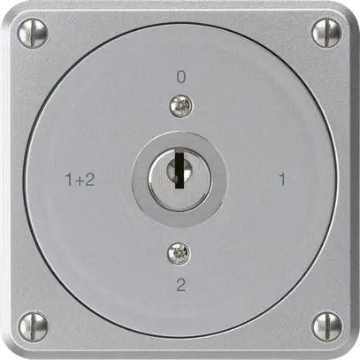 Interrupteur à clé ENC robusto sans clapet 1/1P aluminium pour combinaison 
