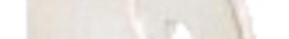 Pontage intercalable WAGO TopJob de 1 à 2 