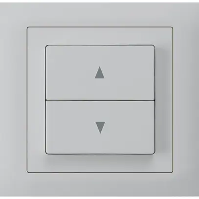 Interruttore p.tapparella INS kallysto T scatola INS G3 telaio inn.grigio chiaro 