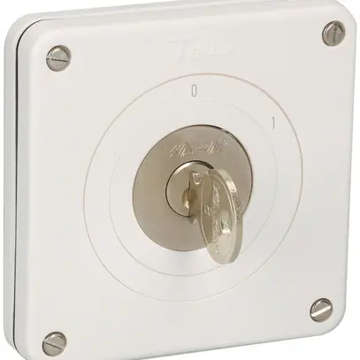 Interrupteur ENC NEVO 3P, IP21, 0-1, cyl.1007F, 12h, plan 631984, bc 