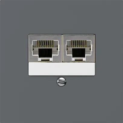 Scatola INC kallysto 2×RJ45s separato CUC antracite 