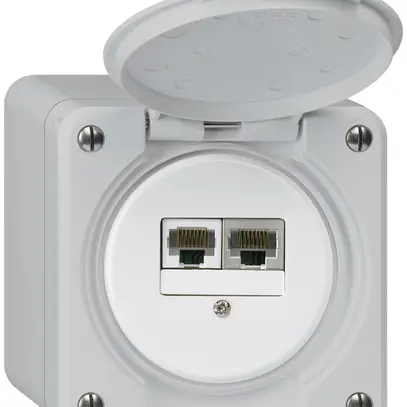 Boîte de raccordement AP robusto IP55 gris 1×RJ45/s 1×RJ45/u séparés 