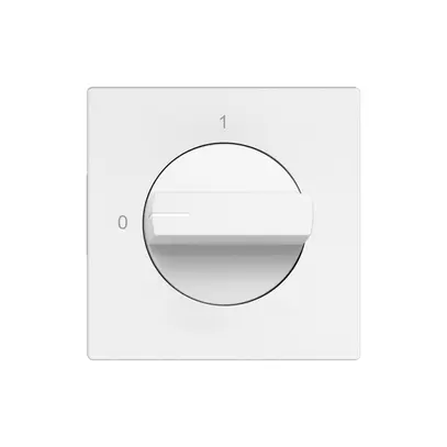 Interruttore rotativo EDIZIO.liv 2P 0-1 p=40mm bi 