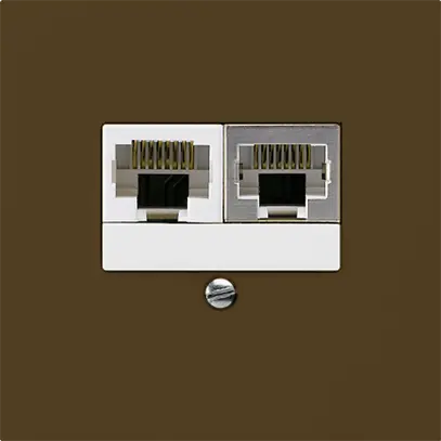 Scatola INC kallysto 2×RJ45s+u separato marrone 
