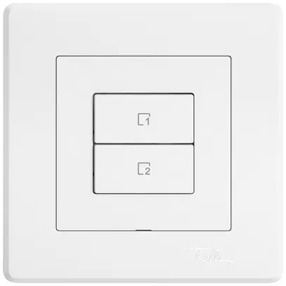Poussoir scènes ENC EDIZIO.liv Wiser SNAPFIX® 2 scènes 2 touches WLAN bc 