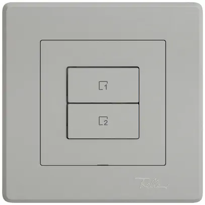 Poussoir scènes ENC EDIZIO.liv Wiser SNAPFIX® 2 scènes 2 touches WLAN grc 