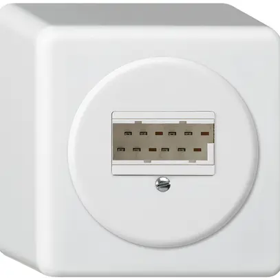 Boîte de raccordement AP basico 2×TT83 blanc 