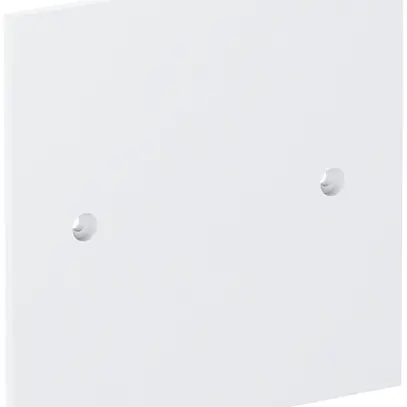 Placca di copertura Bettermann cieca, 95×95mm, PA, bianco puro 