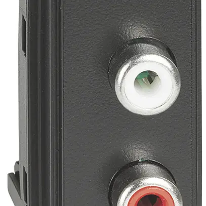 Prise de raccordement audio Living Now 2×RCA rouge/blanc 1 module noir 