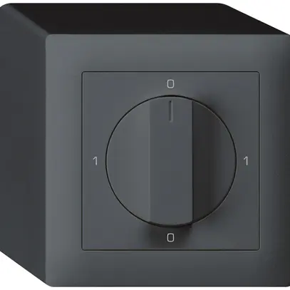 Interruttore rotativo AP kallysto 3/1L antracite con manopola 