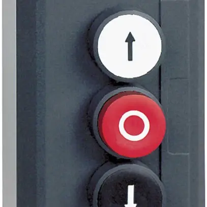 Poussoir AP Schneider Electric 3 éléments 1F bc/1O ro/1F noir 