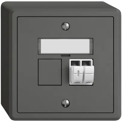 Presa audio AP EDIZIO.liv SNAPFIX® 1× grs 