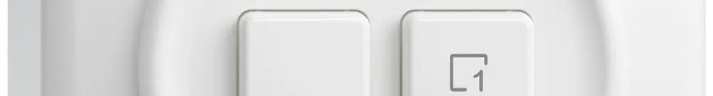 Interruttore a puls.AP STANDARDdue Wiser SNAPFIX® 1 canale 1 scena 2 tasti bi 