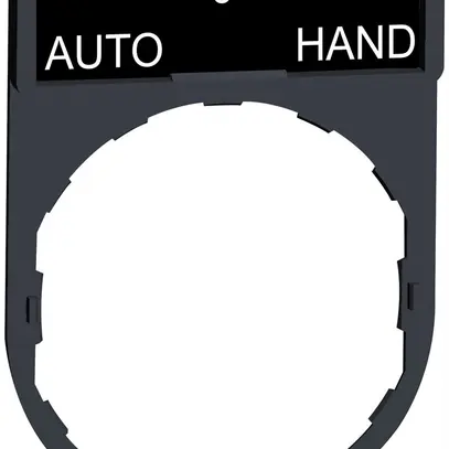 Placchetta Schneider Electric Auto-O-Hand 