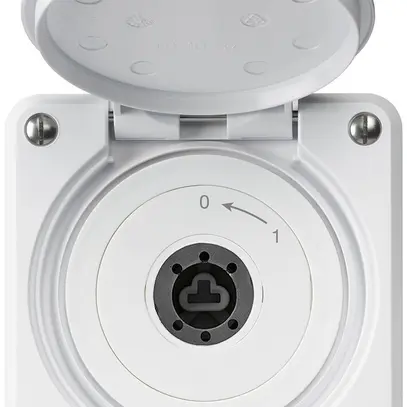 Contact pivotant à clé ENC robusto IP55 blanc avec clapet sans cylindre 1P 
