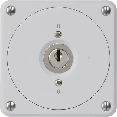 Interruttore a chiave INC robusto senza copertura 0/1P grigio per combinazione 