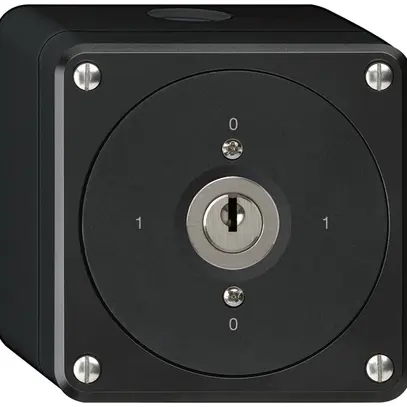 Interruttore a chiave AP robusto senza copertura 0/3P nero 