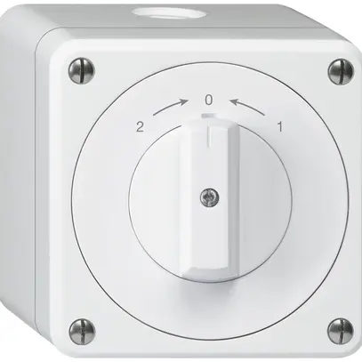 AP-Schwenktaster robusto IP55 weiss Wechsler 