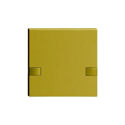 Tasto 1/1 KNX/elettronic.s.LED EDIZIOdue comando doppio olive 