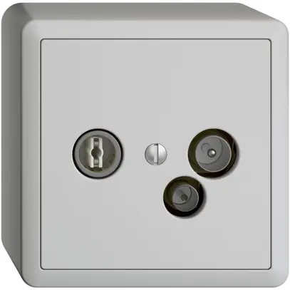 Prise de données AP TV-R DD23 5…65MHz EDIZIOdue gris clair 