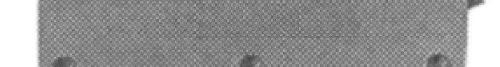 Borne de sécurité Wieland 4mm² gris clair 