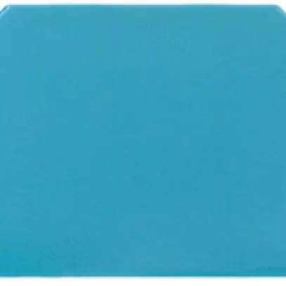 Piastra terminale Weidmüller WAP 2.5-10 56×1.5mm blu 
