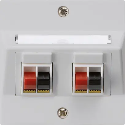 Presa INC audio kallysto 2 volte grigio chiaro morsetto per 2 altoparlante 