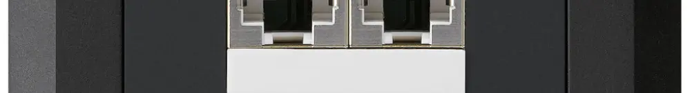 Boîte ENC kallysto.line 2×RJ45s noir parallèle 