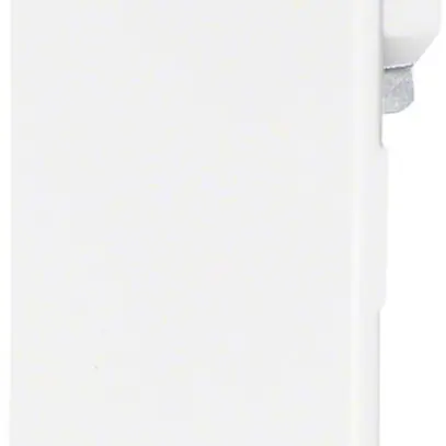Paistra terminale tehalit BRS 100210D, bianco traffico 