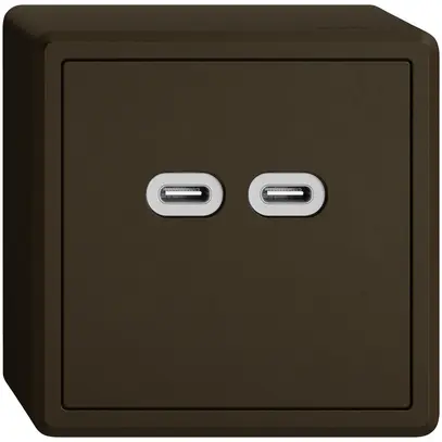 Prise de charge USB AP EDIZIO.liv SNAPFIX® 230VAC 18W 2×USB C br 