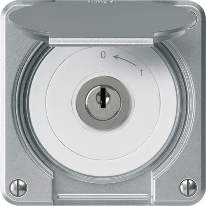 Contatto rotativo a chiave INC robusto IP55 alluminio coperchio 1P combinazione 